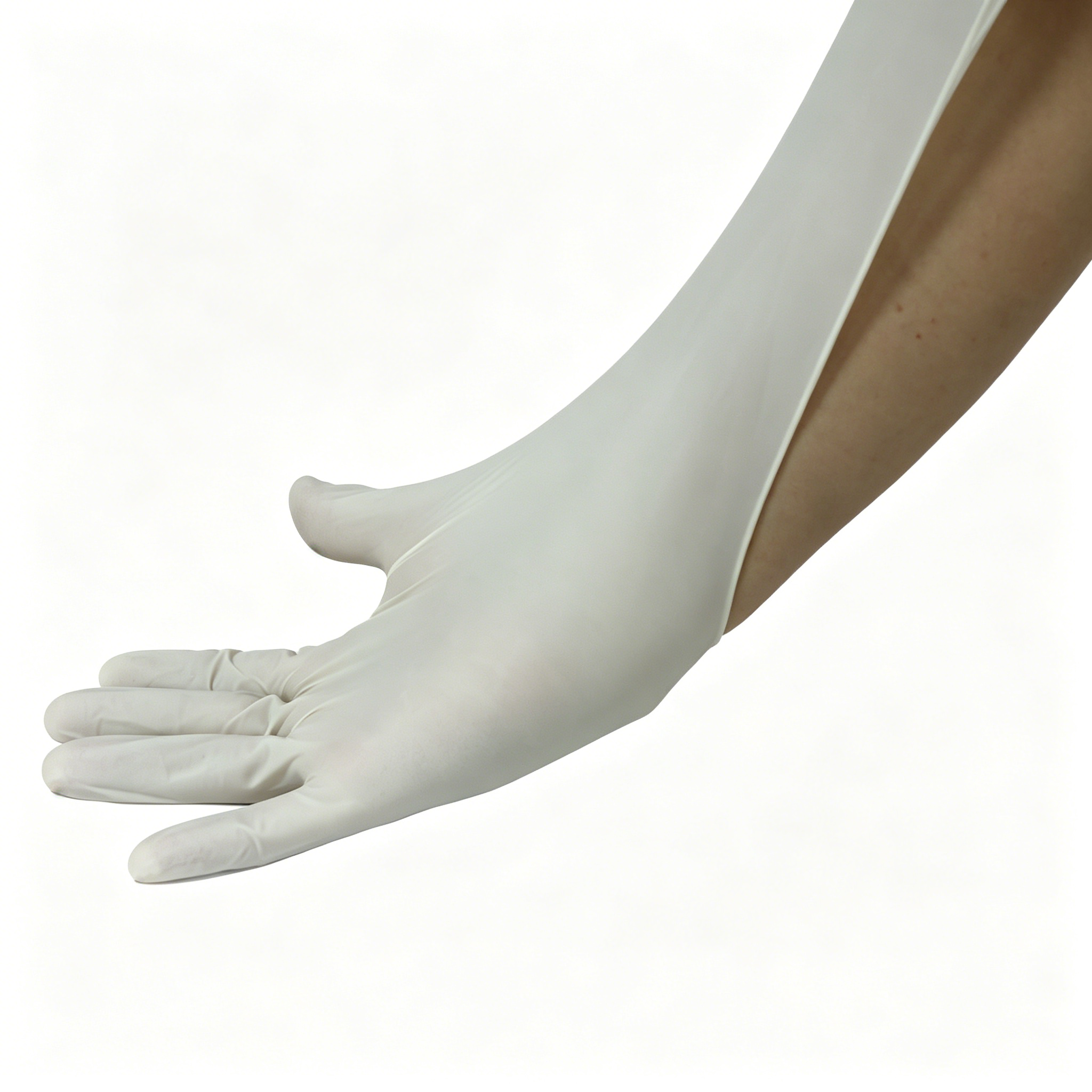 Disposable medical rubber exam - Latex Disposable Glove recensie en prijs