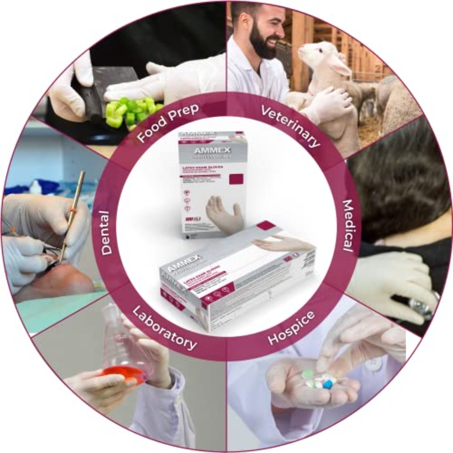 AMMEX White Latex Disposable E - Latex Disposable Glove recensie en prijs