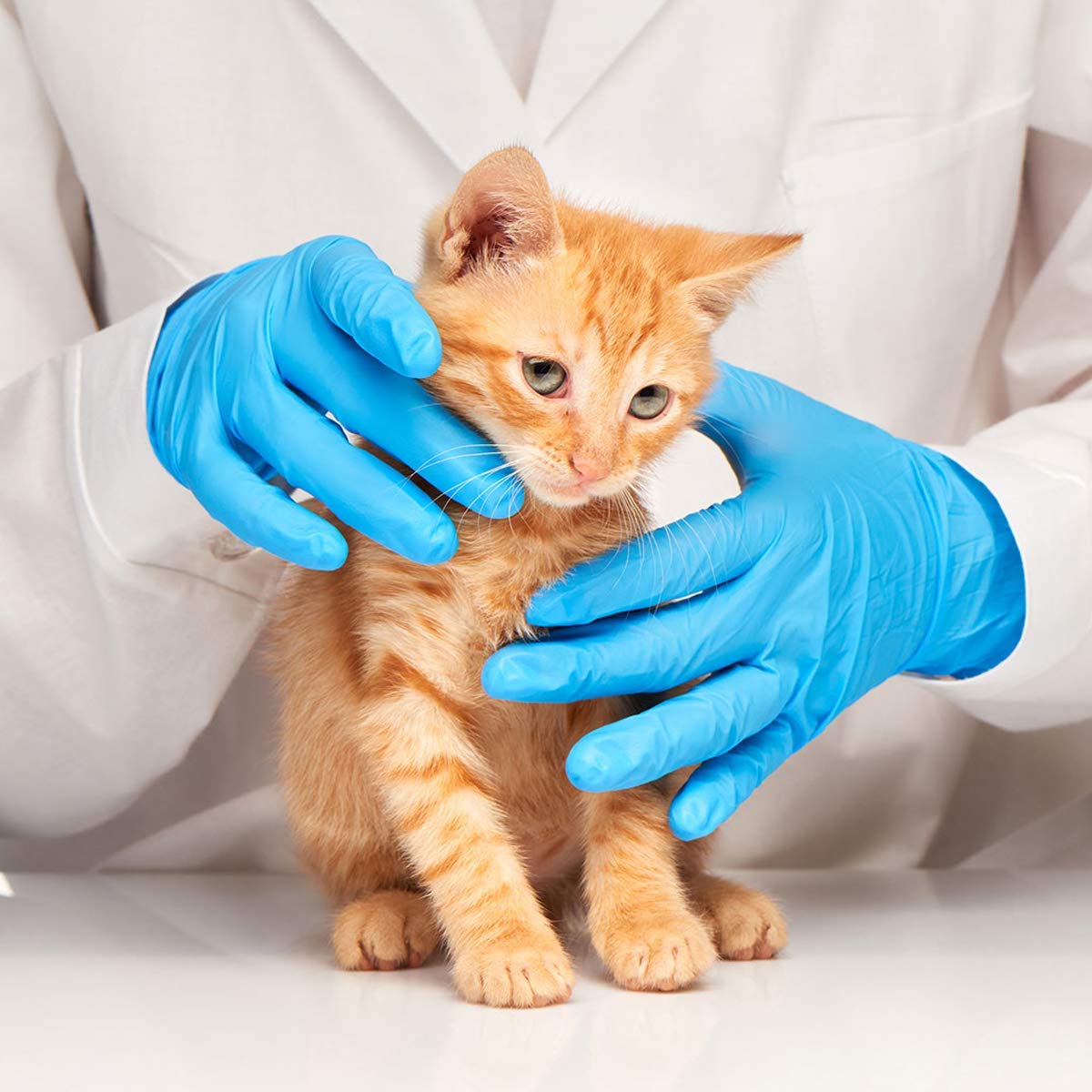 Latex-Free Blue Nitrile Exam G - Exam Glove Nitrile recensie en prijs